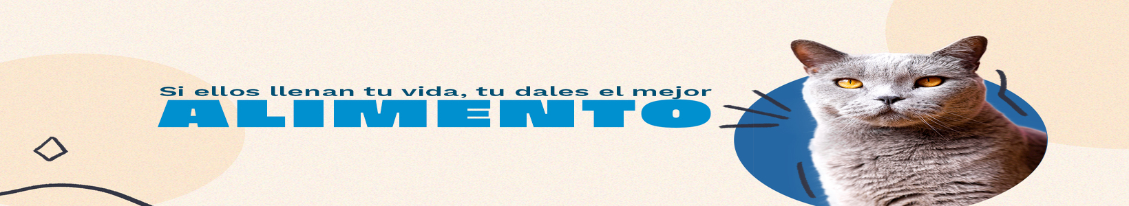 Banner-Webs-GatoBajo